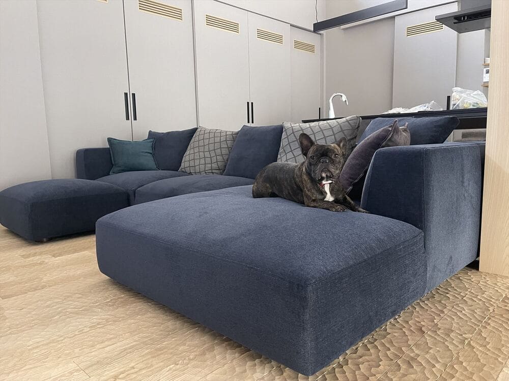 LAカウチソファ