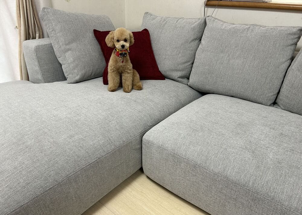 LA カウチソファ