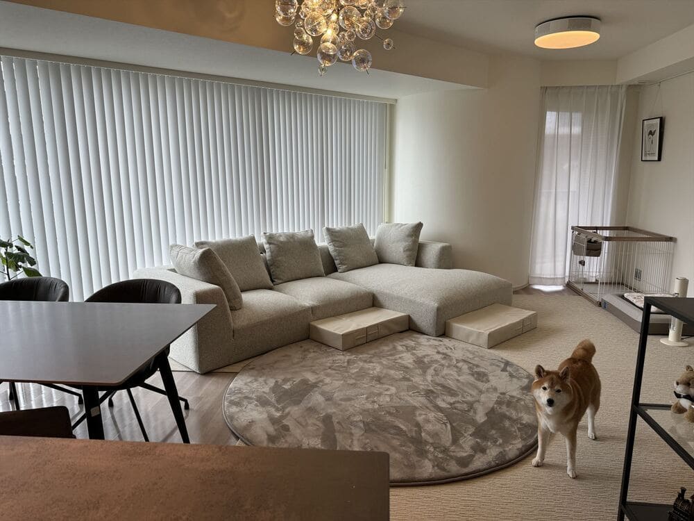 LA カウチソファとペット