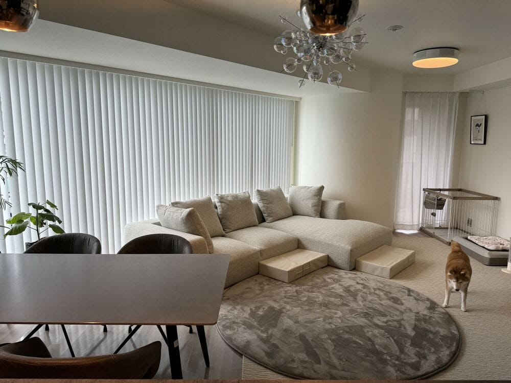 LA カウチソファとペット