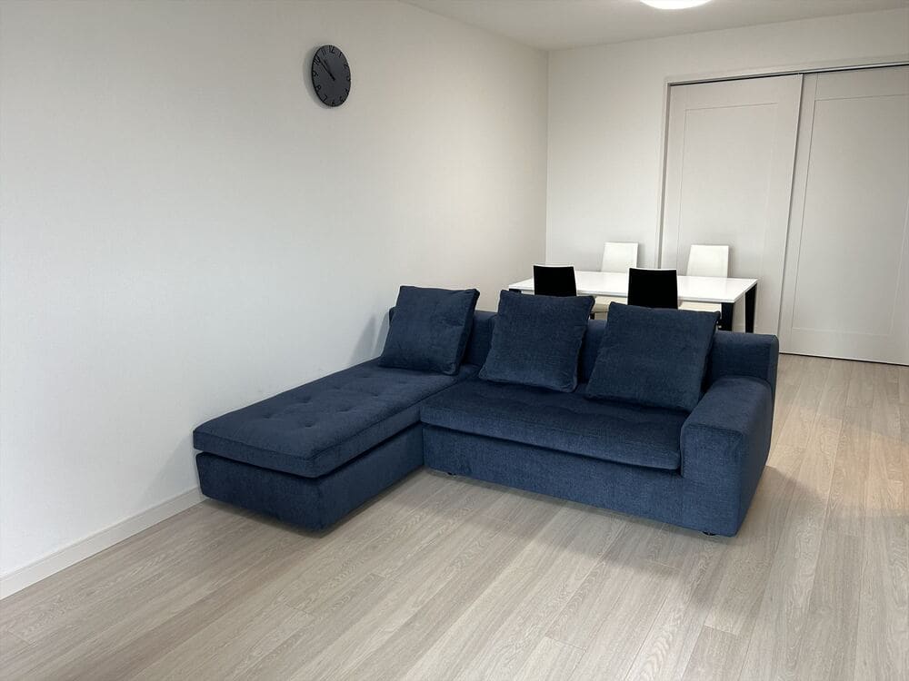 RX-Fカウチソファ