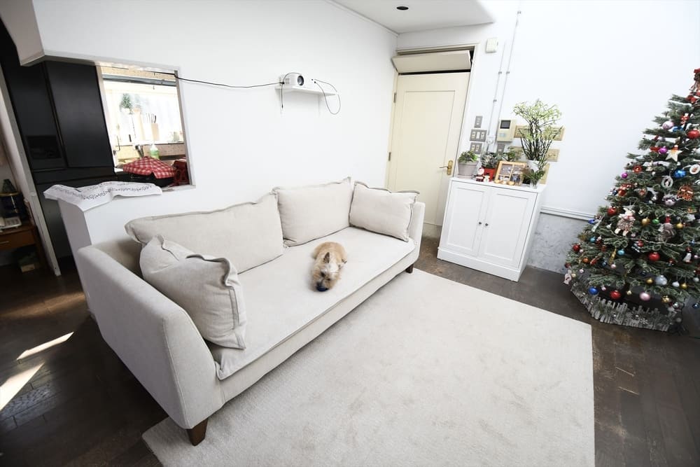 RX-G SOFAとペット