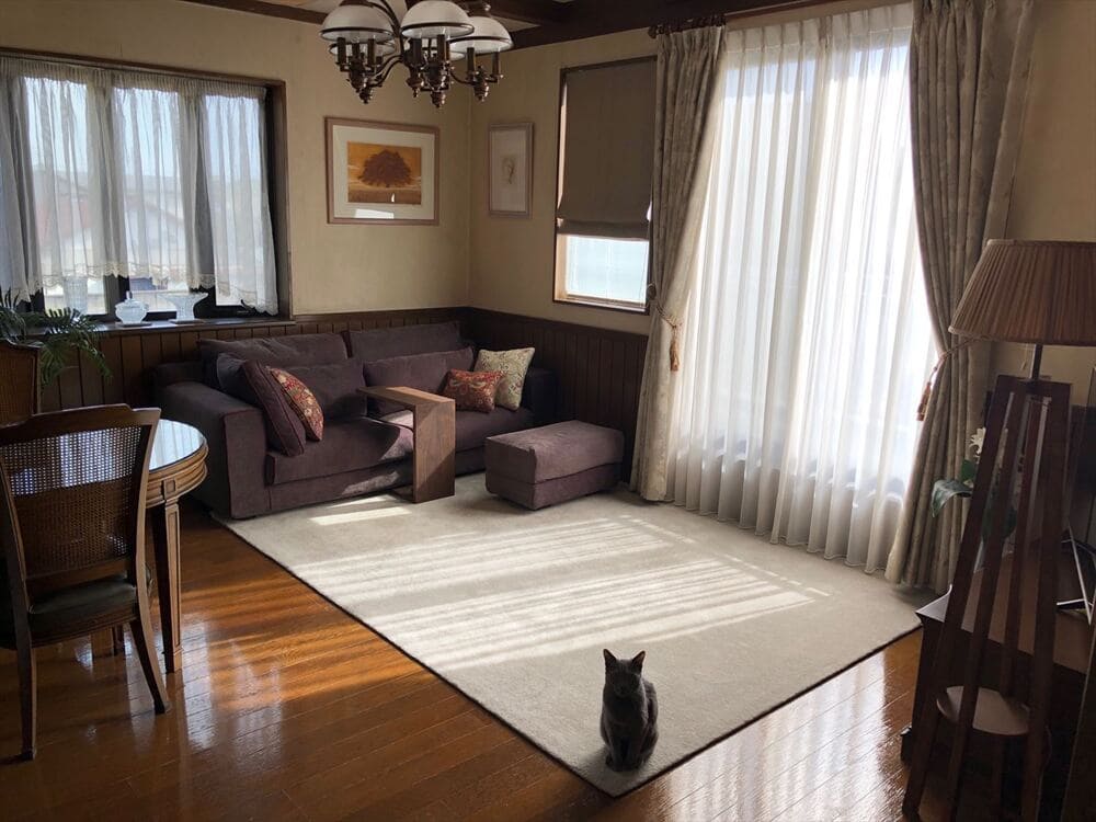 自然ソファ100％の日本製ラグ