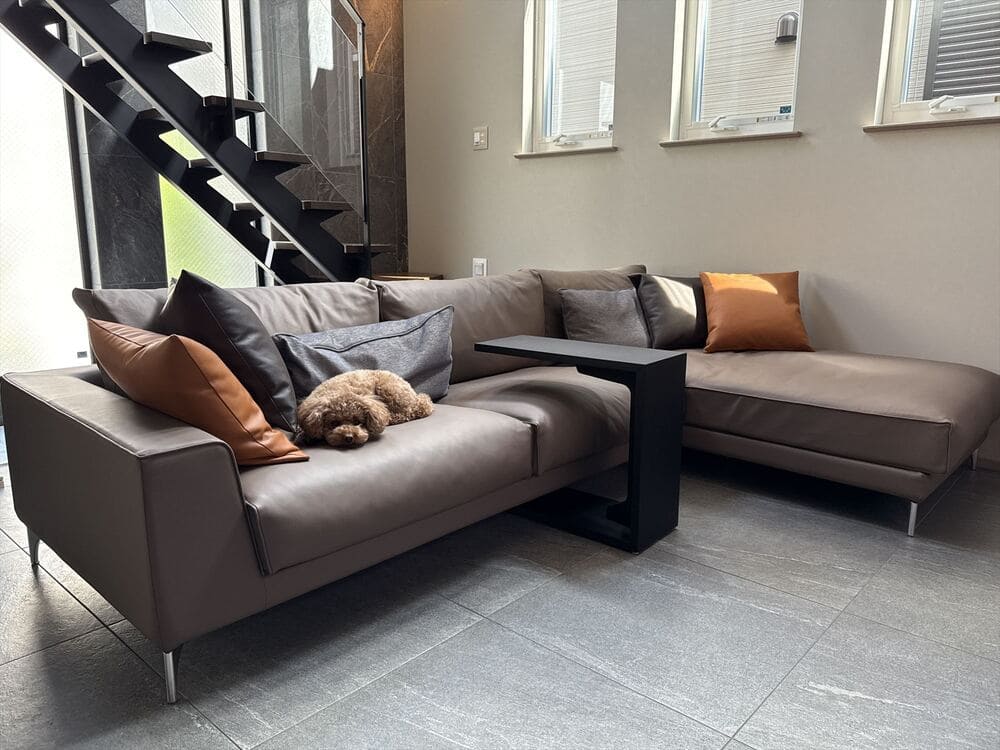 PJ カウチソファとペット