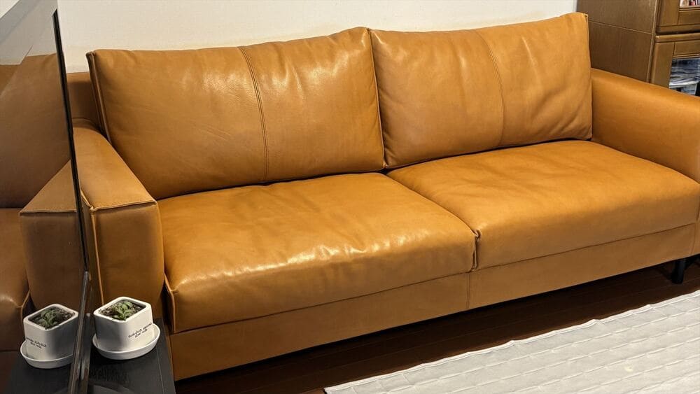 RX-D SOFA