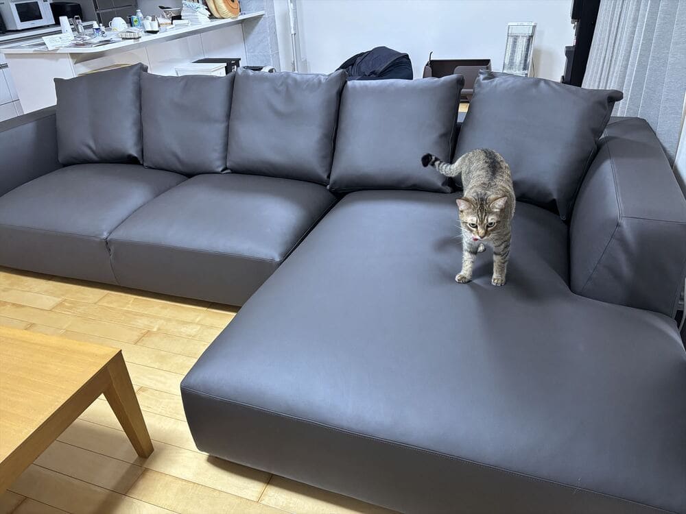 LA カウチソファとペット