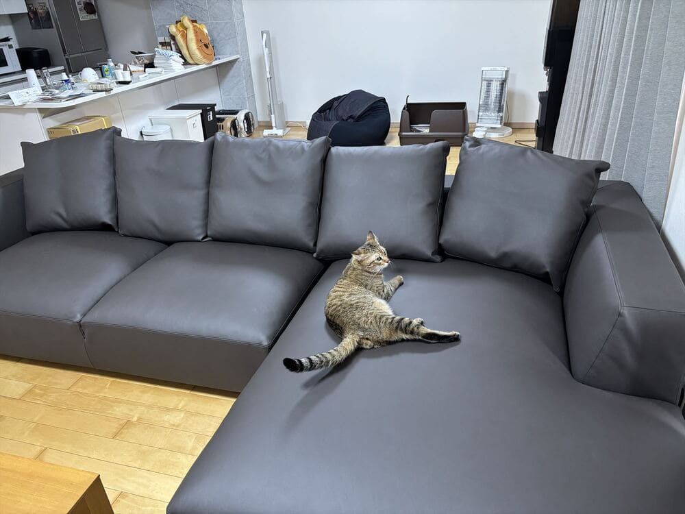 LA カウチソファとペット