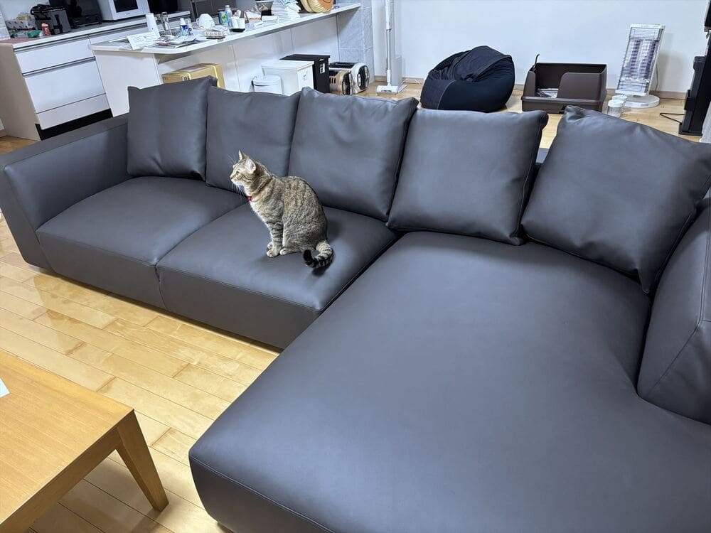 LA カウチソファとペット