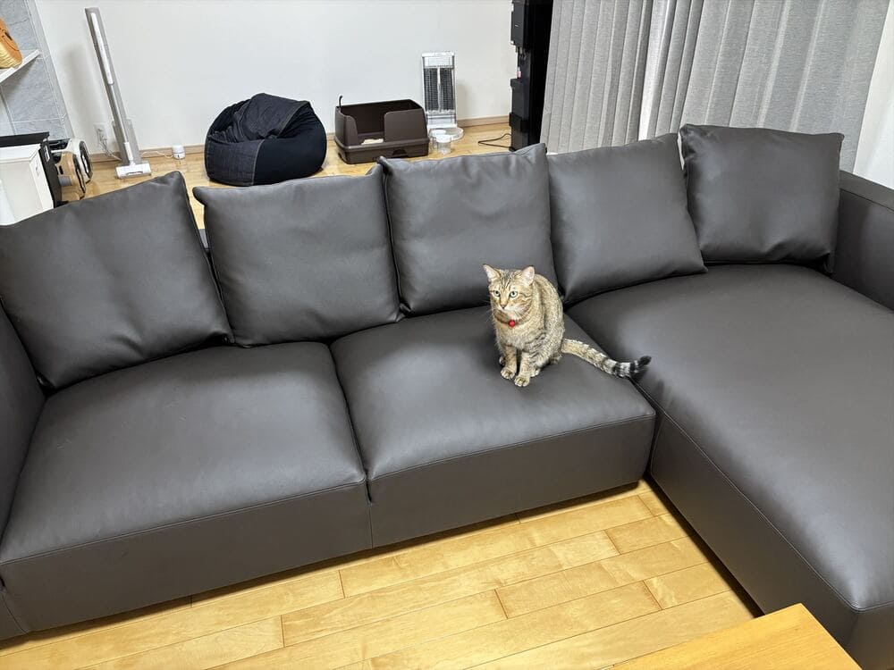 LA カウチソファとペット