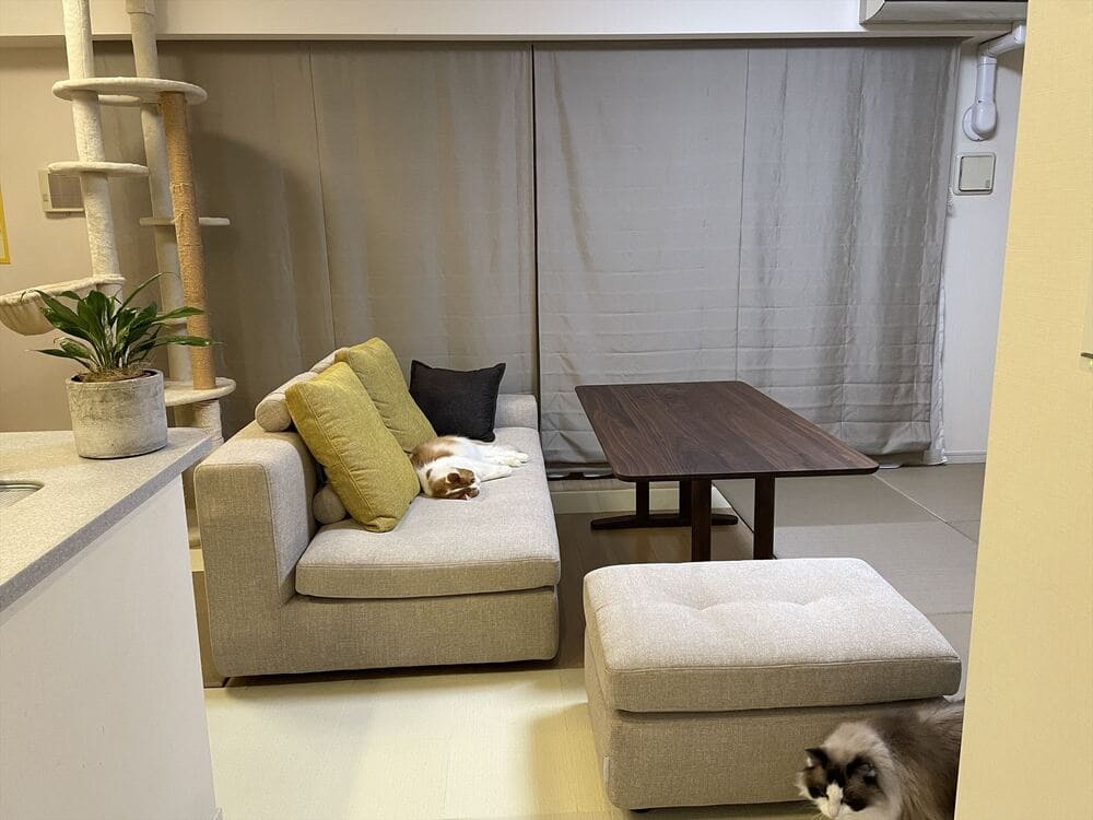 RX-Fソファとペットの納品事例