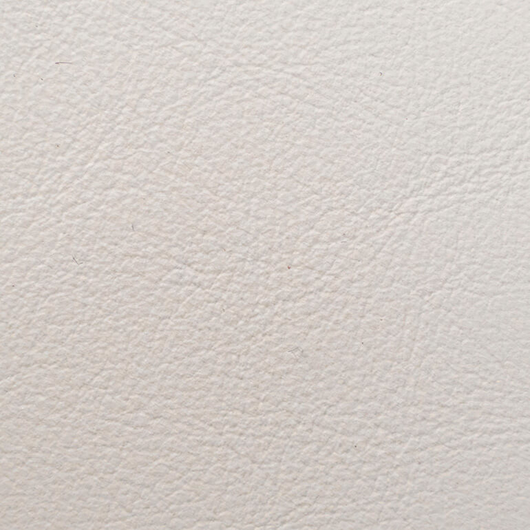 フィーブル#0880