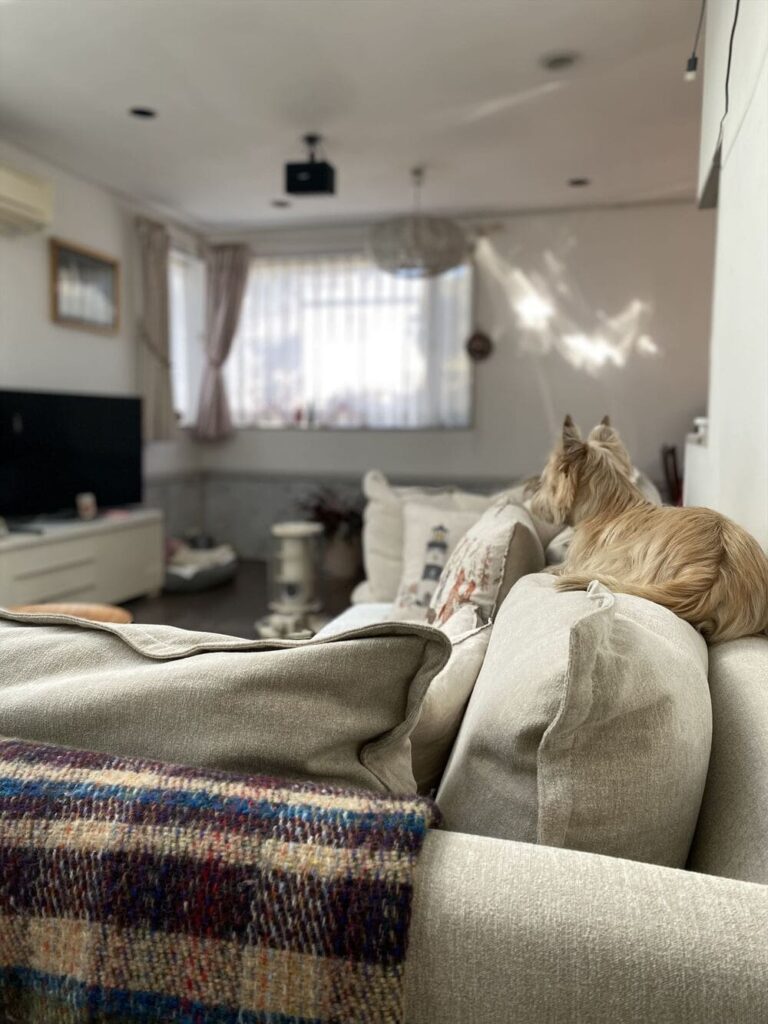 RX-G SOFAとペット